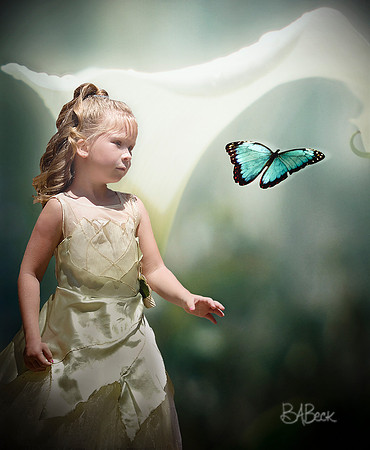 Dream