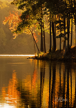 Autumn Reflection