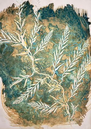 Sea Drift Series: "Botanical Seaweed No. 1" - Cyanotype Original - SOLD